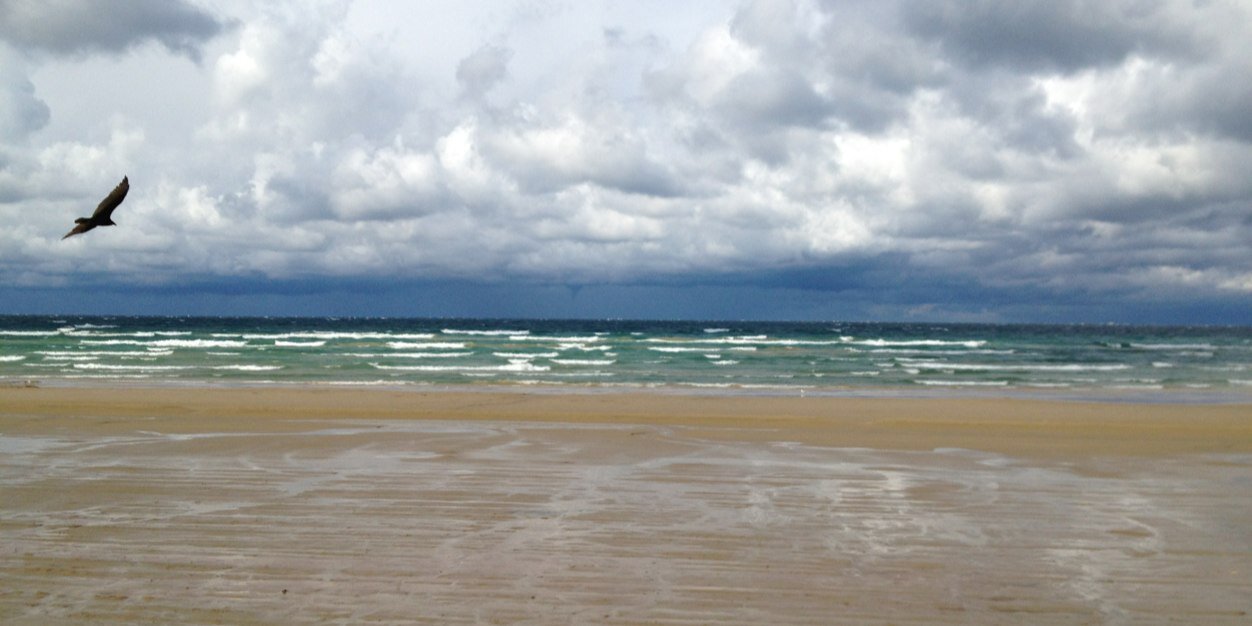 Clare Hecla 🇨🇦 banner