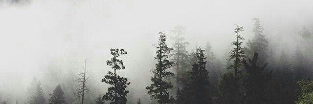 fhenymrt2's profile banner image