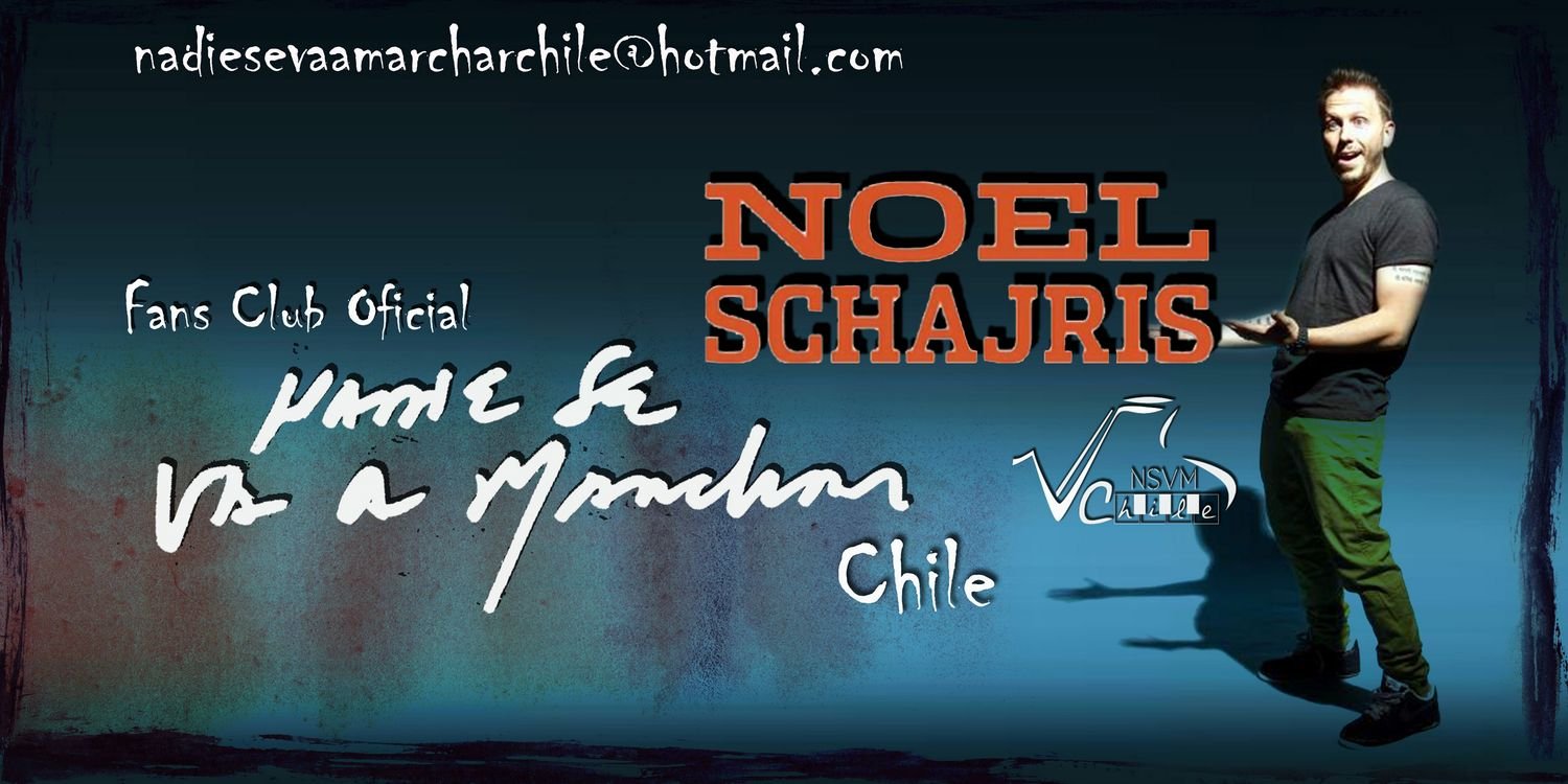 NadieSeVaChile's profile banner image