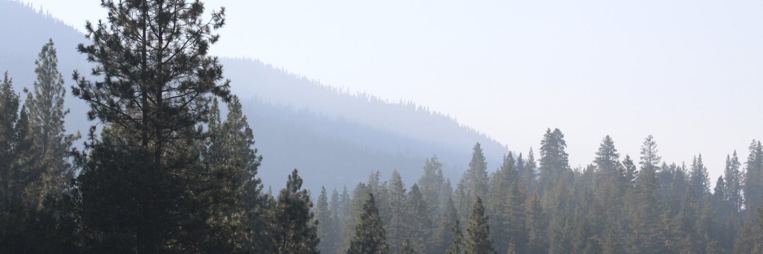 Ash_m_kidd's profile banner image