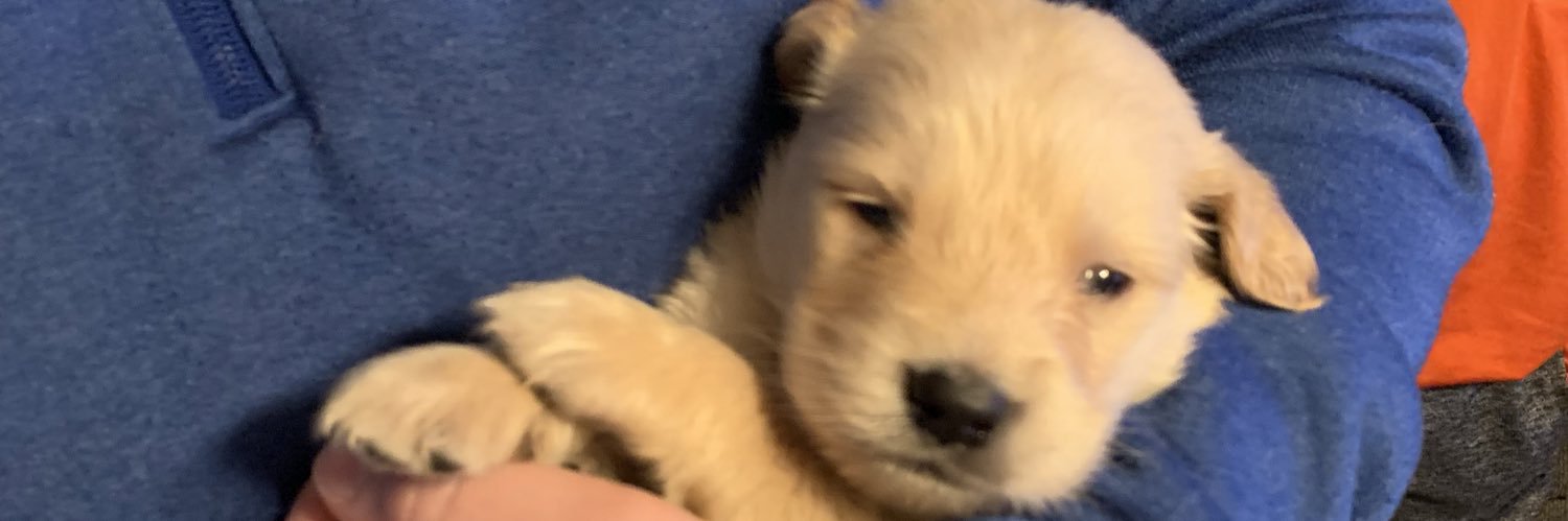pdlynch23's profile banner image