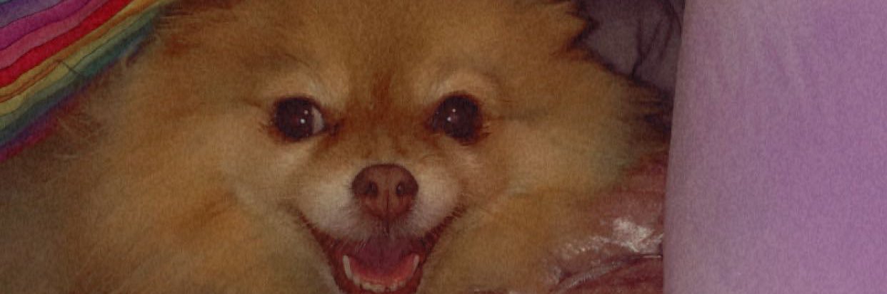mariilove__'s profile banner image