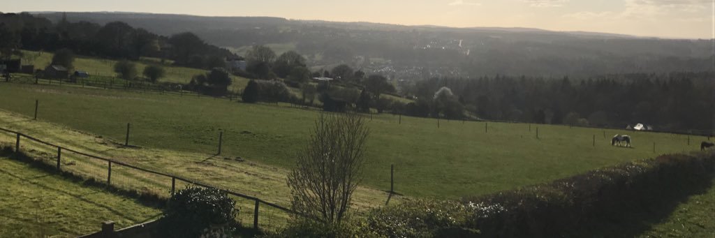 Richgreen95's profile banner image