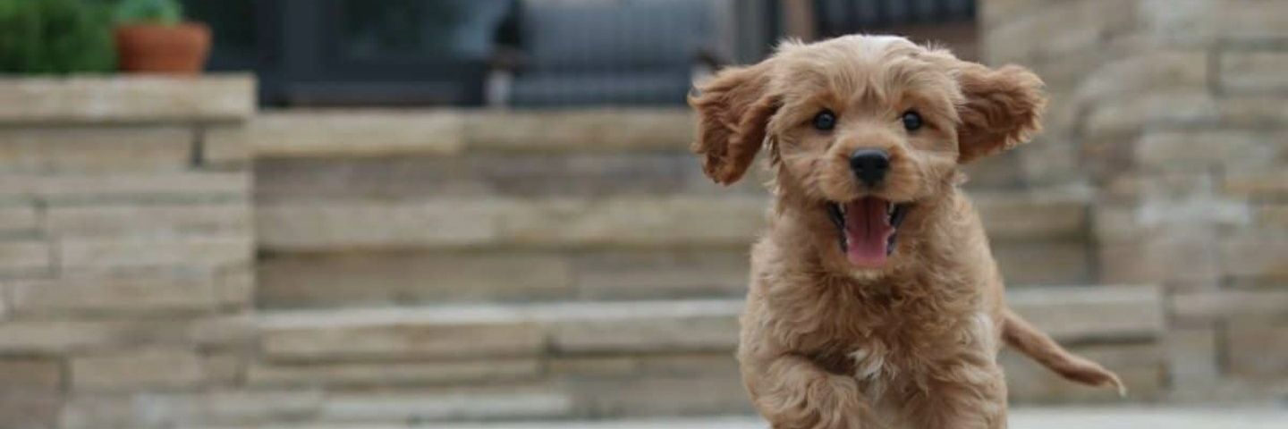 NANCHOSAEZ's profile banner image
