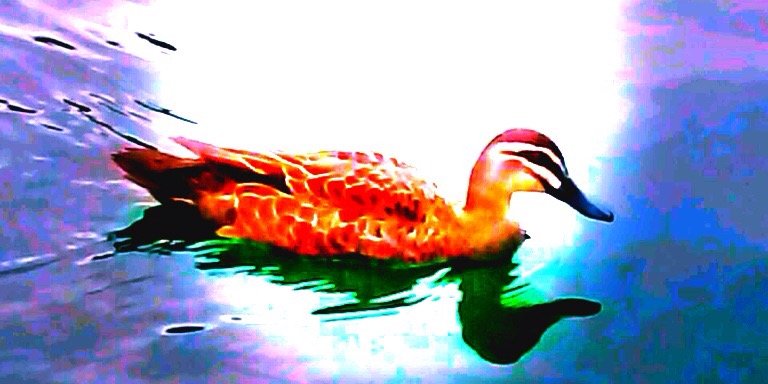 amydocker6's profile banner image