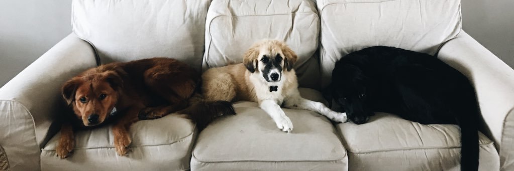 Co_Co_Channel_'s profile banner image