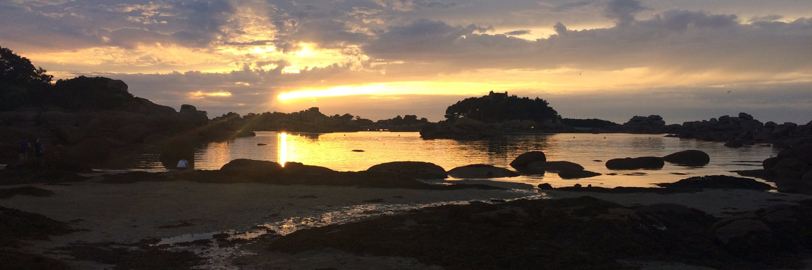 Adeline Chatel banner