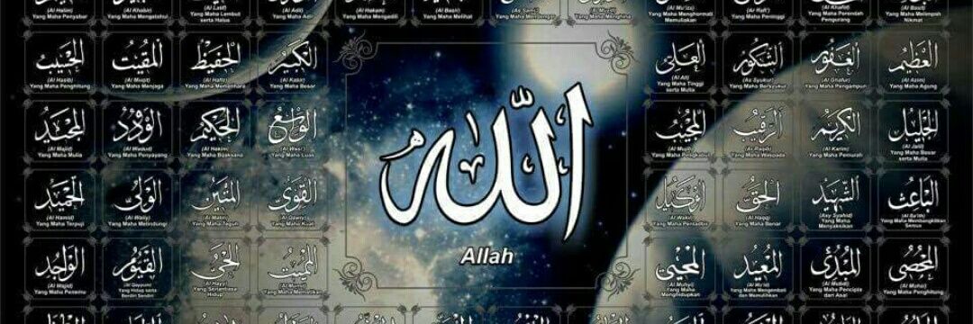 زايد الفريدي banner