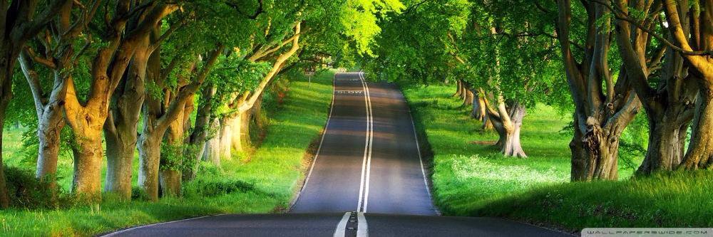 ♈️🅰️🛴🆔️🅾️ banner