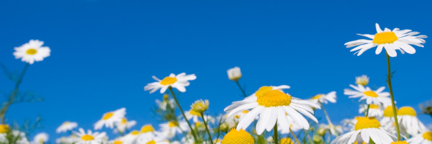 Andrew Hutchinson banner