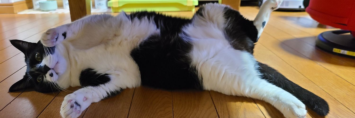 myuechan's profile banner image