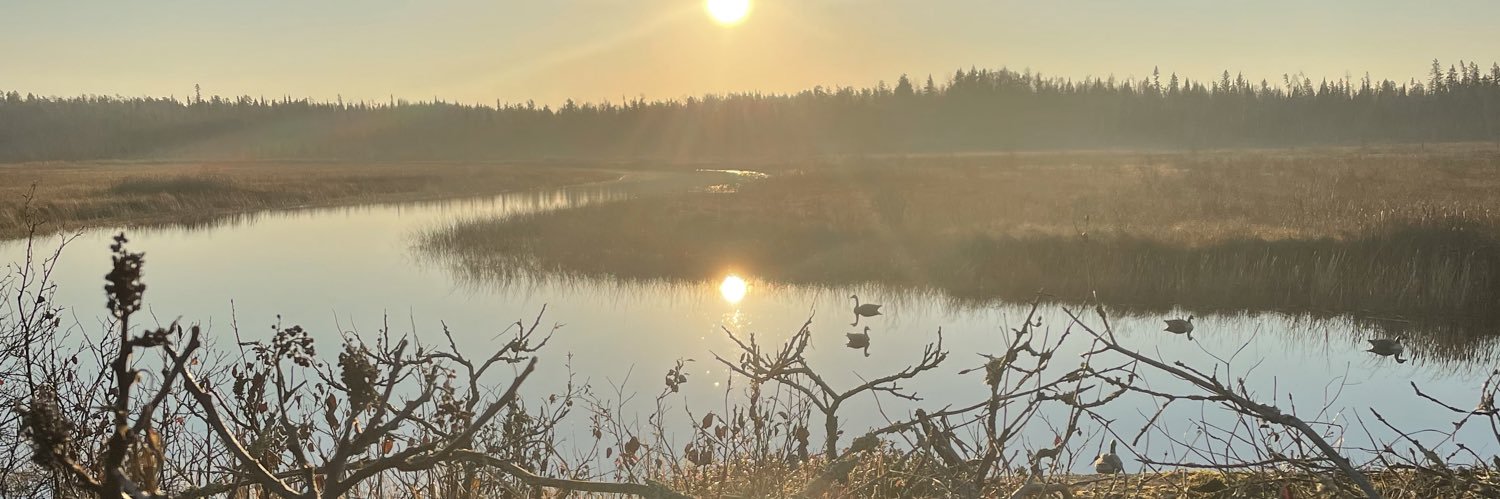JeffBuhse's profile banner image