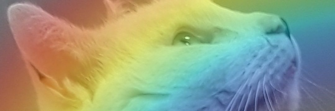 🇺🇦Mr Houdini Meow🏳️‍🌈 banner
