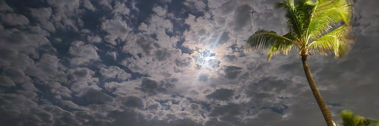 Yalinne's profile banner image