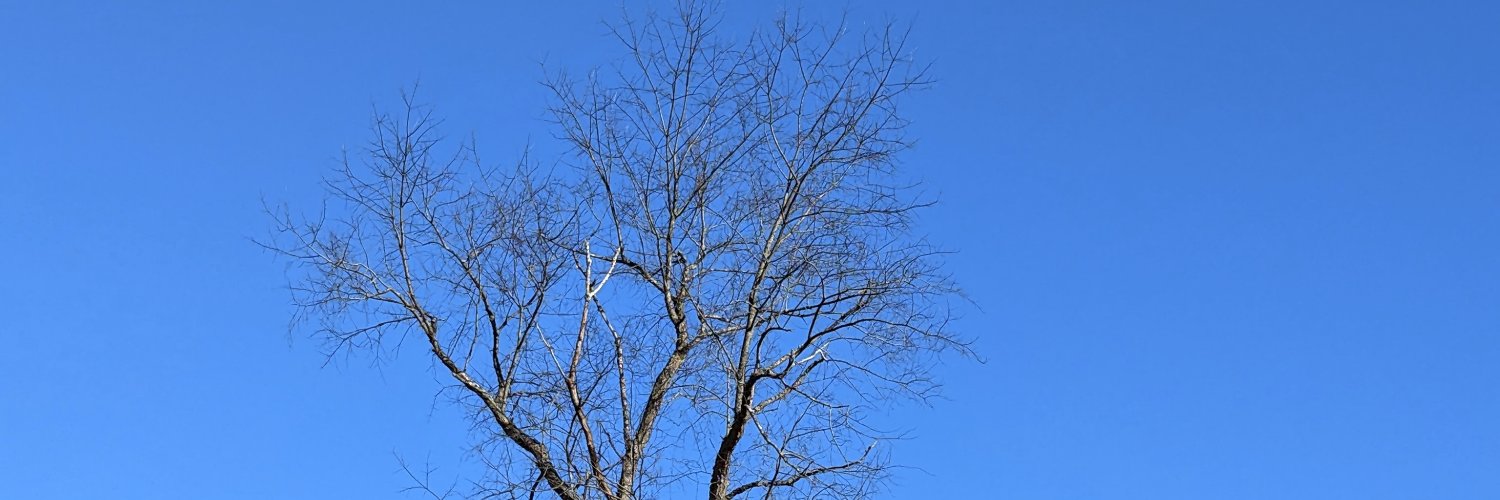 ARHenderson63's profile banner image