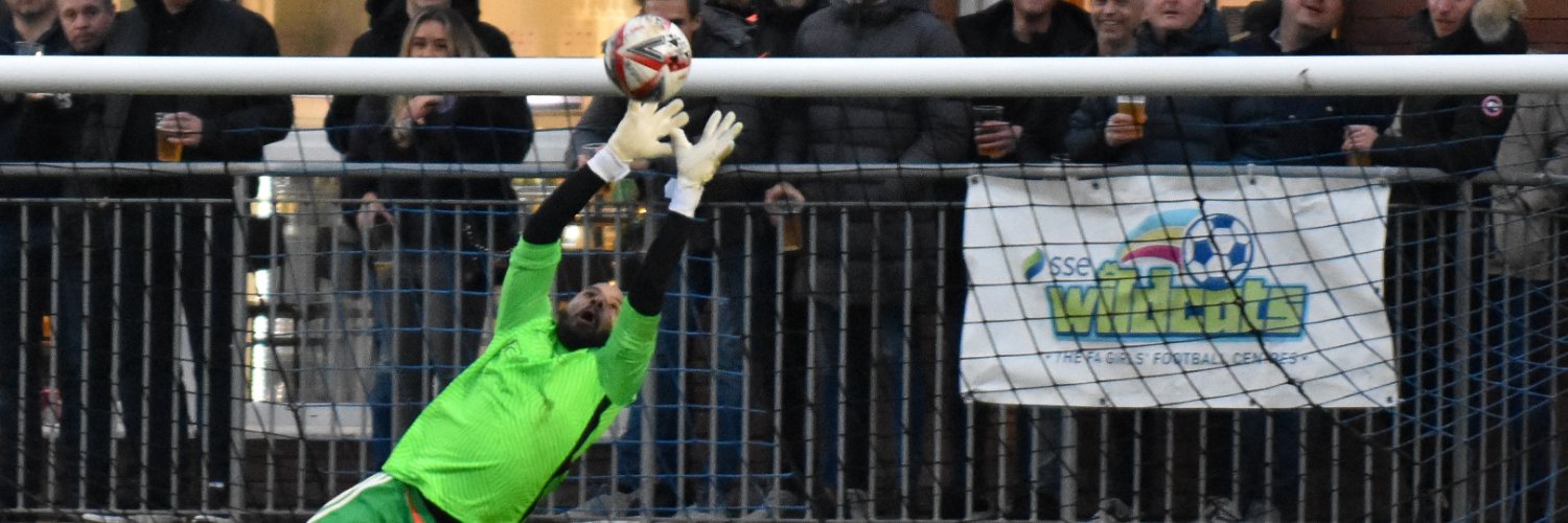 King L'ren Loki banner