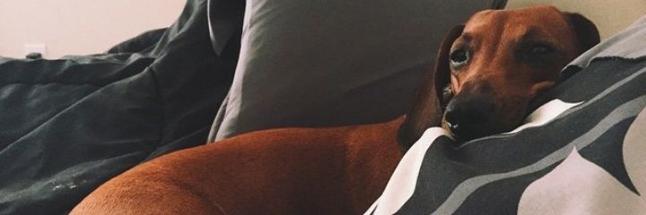summer1027's profile banner image