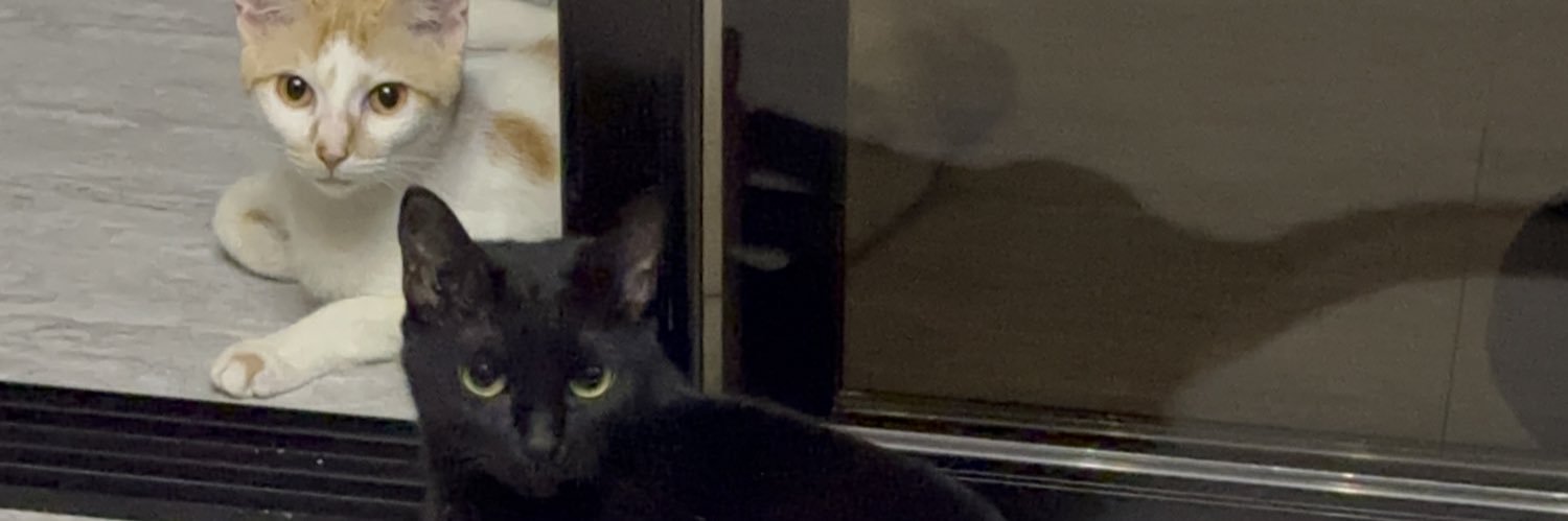 dijadeeyyy's profile banner image