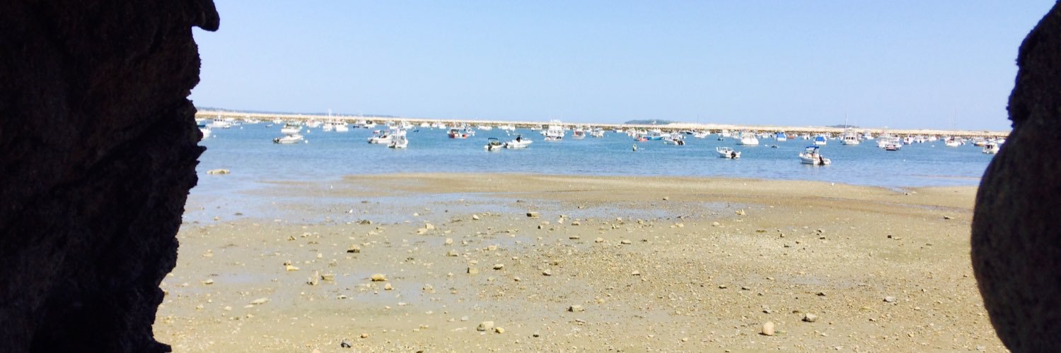 Seanna Henderson banner