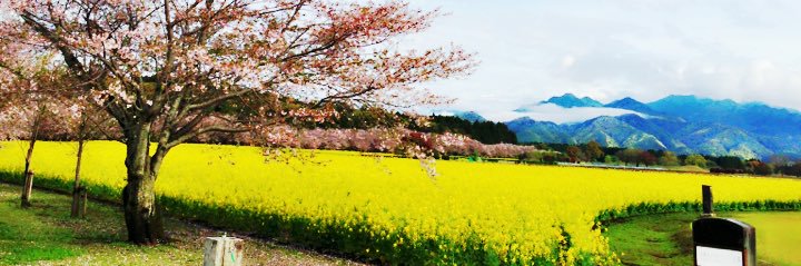 OMT〆しんでぃ･´ω`･ banner