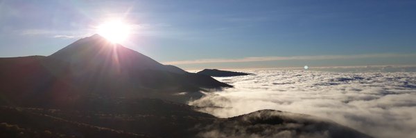 CedresEdgar Profile Banner