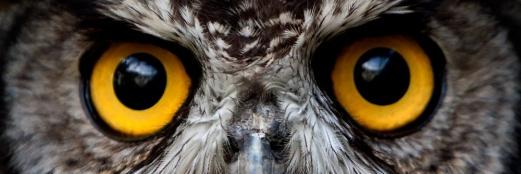 jacambe's profile banner image