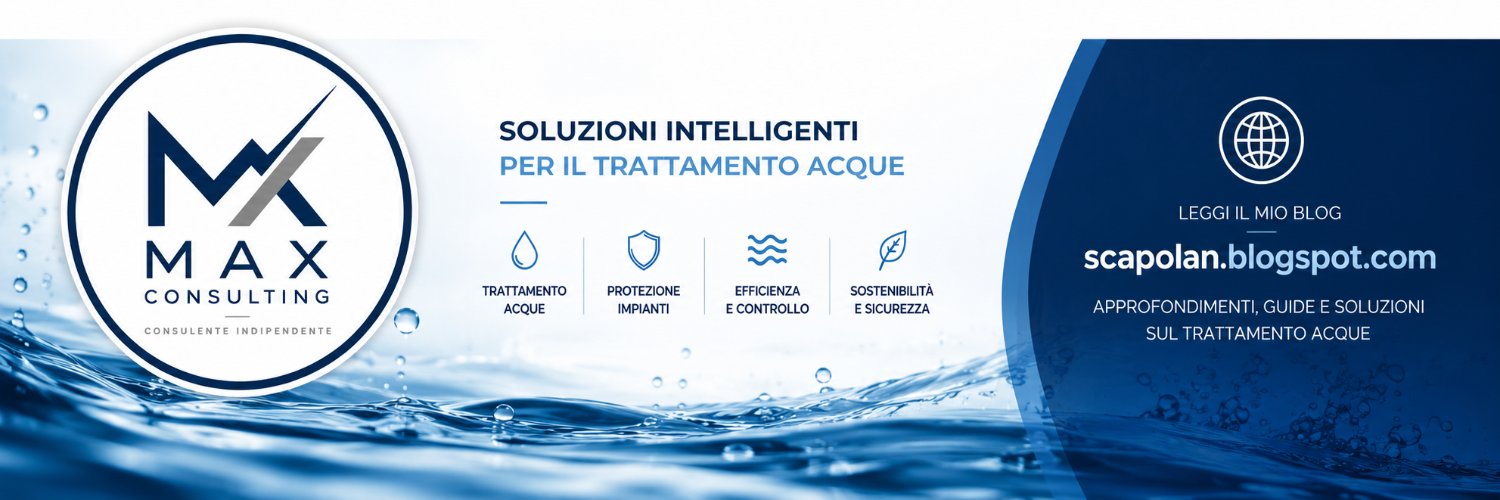 Max Consulting banner
