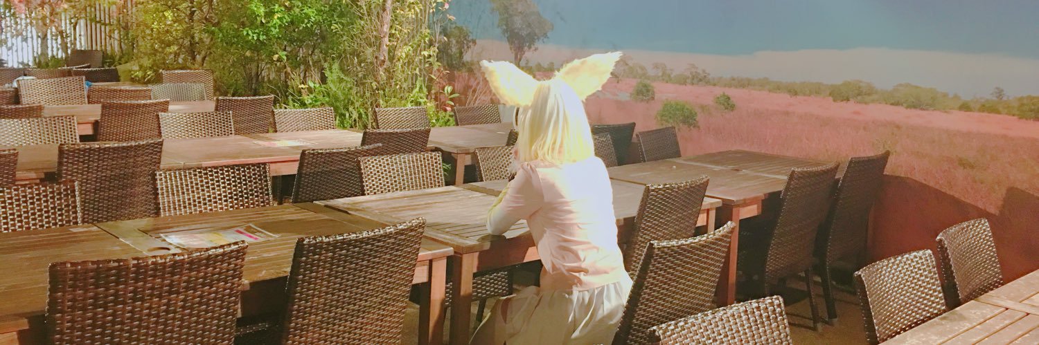 ミーアキャッ@夢オチだったかも3/29 banner