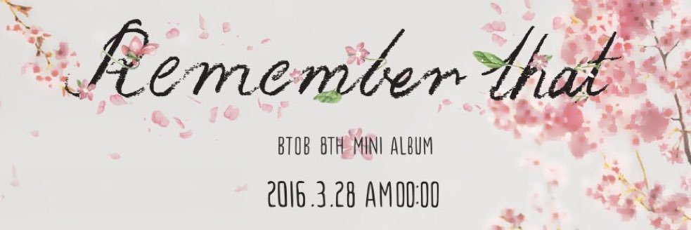 BTOBSGSUPPORT banner