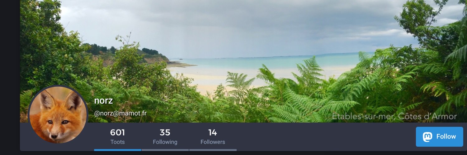 norz's profile banner image
