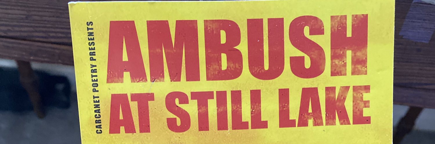 Caroline Bird's banner