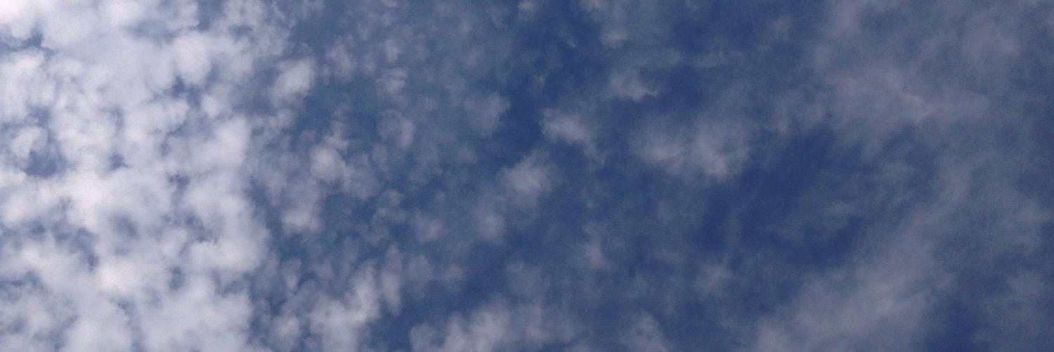 DaleAnneDuncan's profile banner image