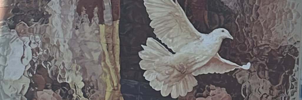 Ola Dunk 🇳🇴 banner