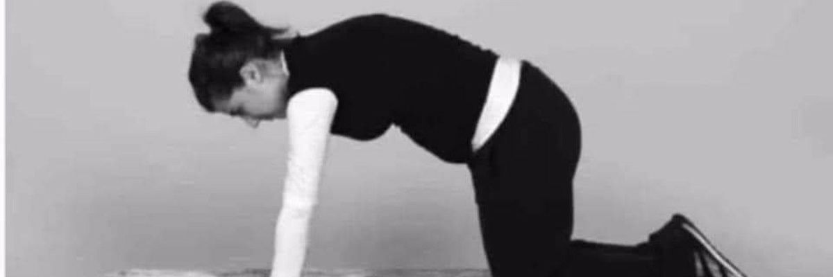 Prof. N. Bellcurve banner