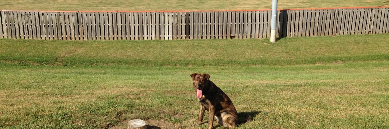 codyjhiggins's profile banner image