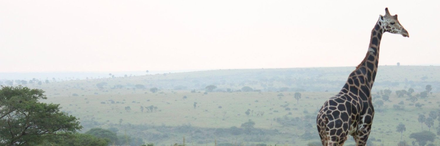 Dr. Susanna Y Park (she/her) banner