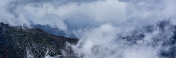 johntentacles Profile Banner