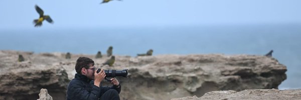 Deinocurious Profile Banner