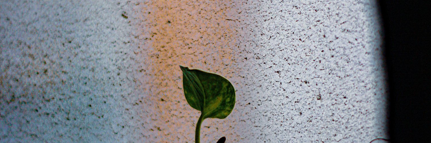 _pushing_it's profile banner image