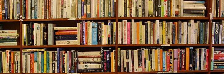 Dominion HS Library banner