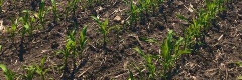 Taylor Brophy banner