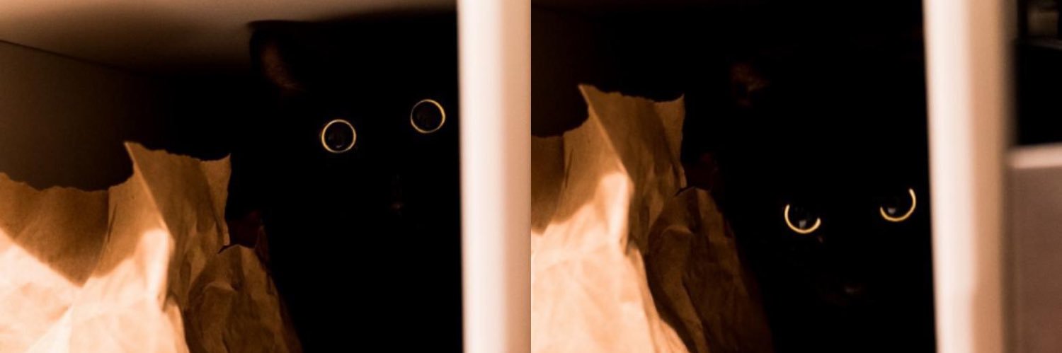 qelixkat's profile banner image
