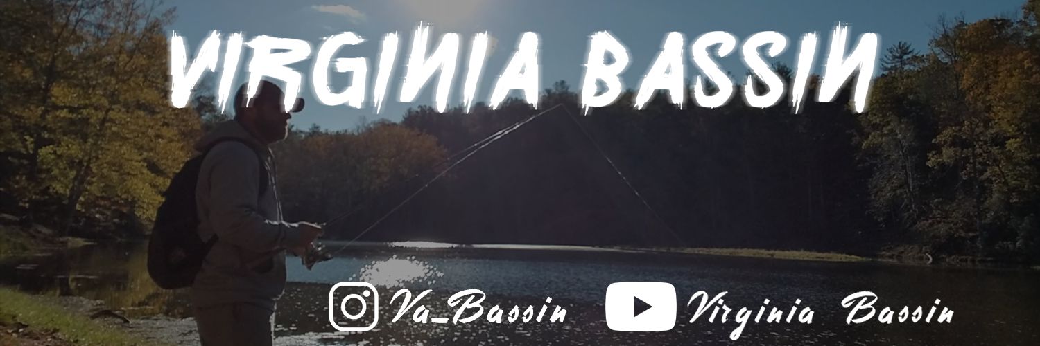 Virginia Bassin' banner