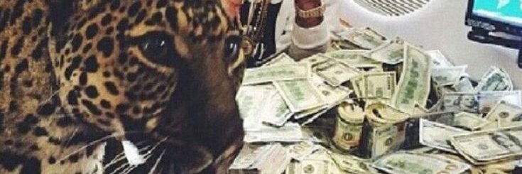 Crypto Gonzalez banner