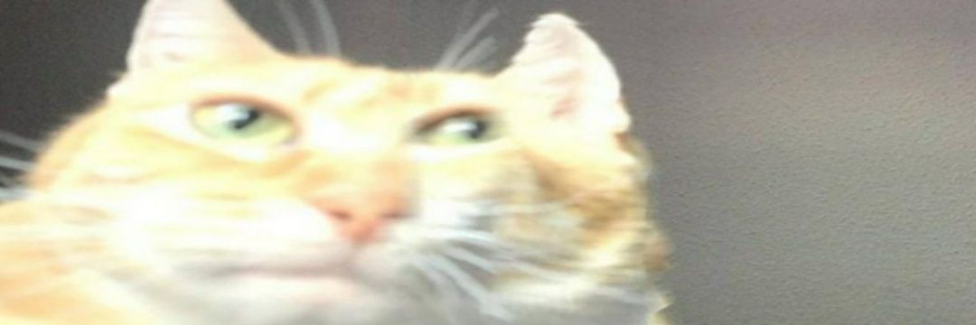 Me, ironically banner