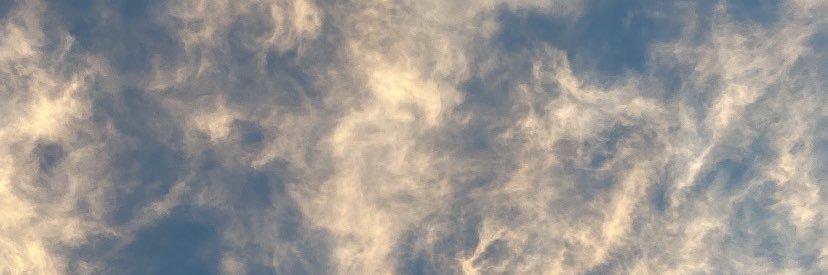 AmberSeifert215's profile banner image
