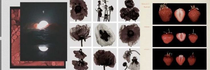 ⍣ banner