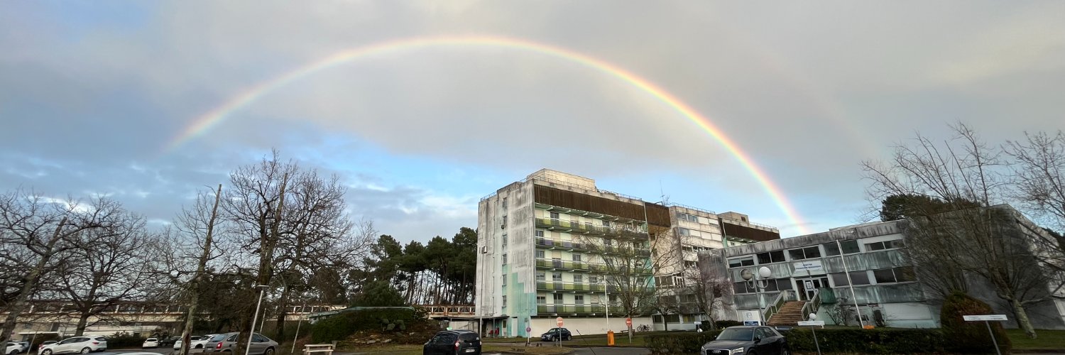 Rémi Veillon banner