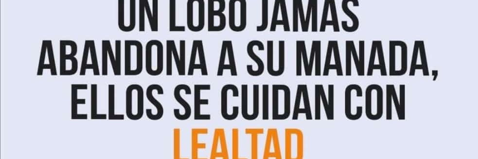 luishernandezc1's profile banner image