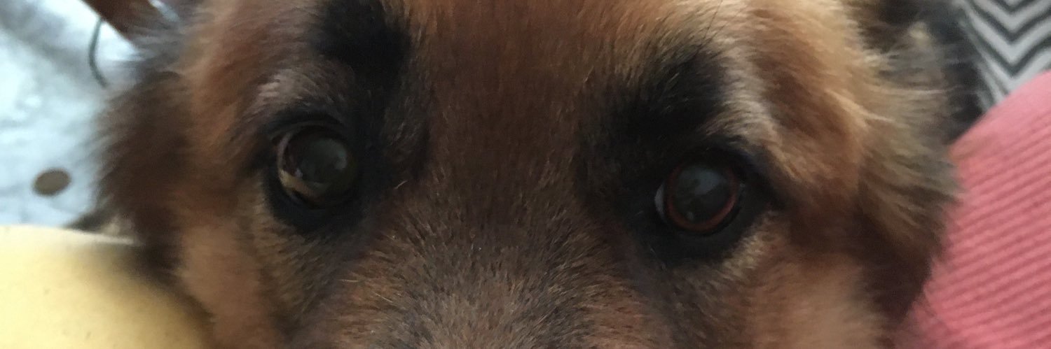 Ana del B🖤 banner